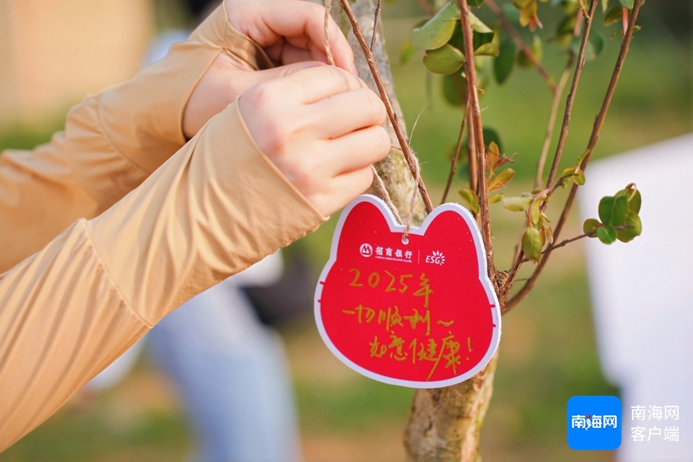 招商银行为何选择植树活动来深化ESG战略实践？背后的深意令人惊叹  第2张
