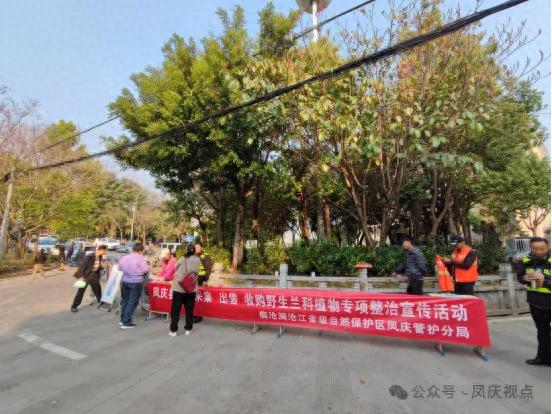 采挖一株野生兰花也可能犯罪？这些法律后果你了解吗