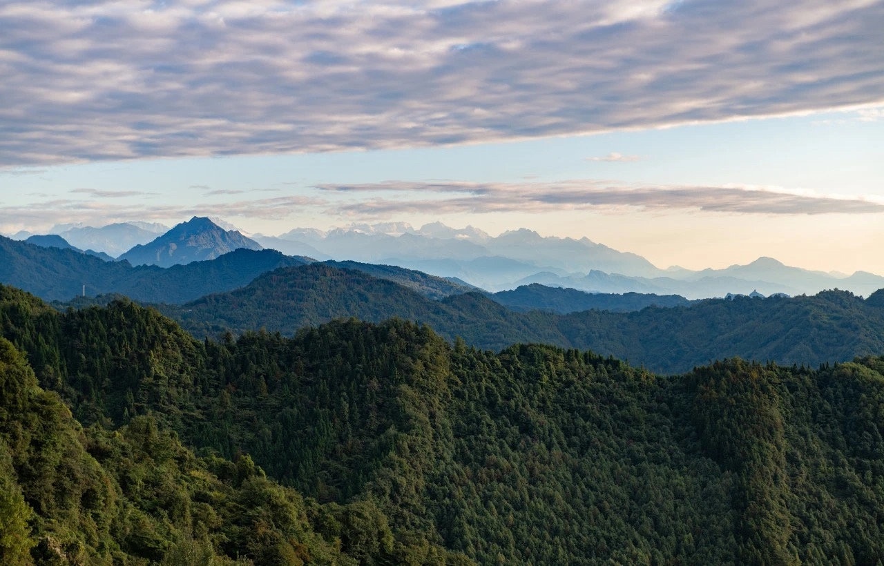 龙泉山为何成为空中巨无霸迁徙的首选地？揭秘背后的惊人原因  第1张