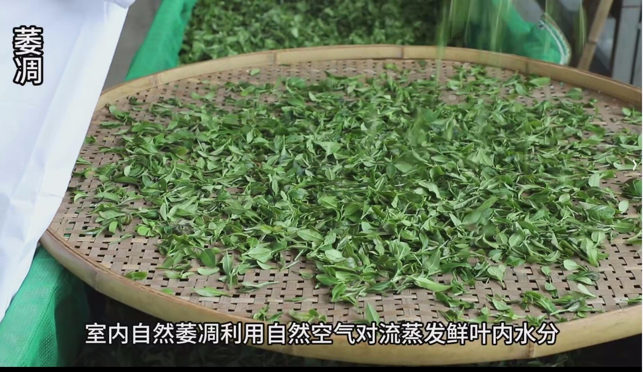 云南红茶迎来重大突破！工夫红茶加工技术规程正式实施，你了解多少？  第3张