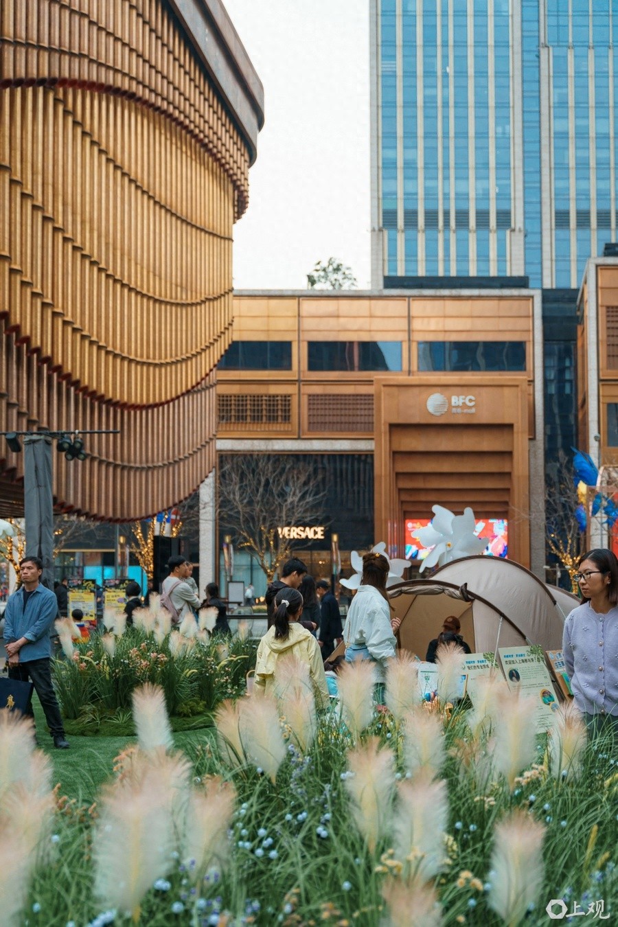 上海国际花展首次落地黄浦区，24天花漾狂欢等你来  第1张