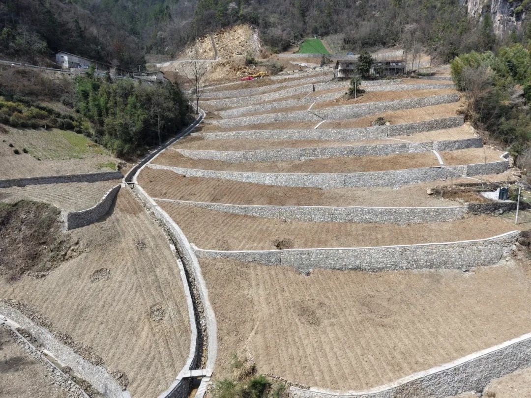 丹江口库区生态蝶变！135平方公里水土流失区如何实现华丽转身？