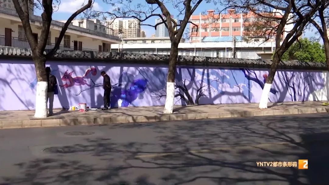 昆明蓝花楹提前绽放！外省游客已抢先打卡，你还在等什么？  第4张