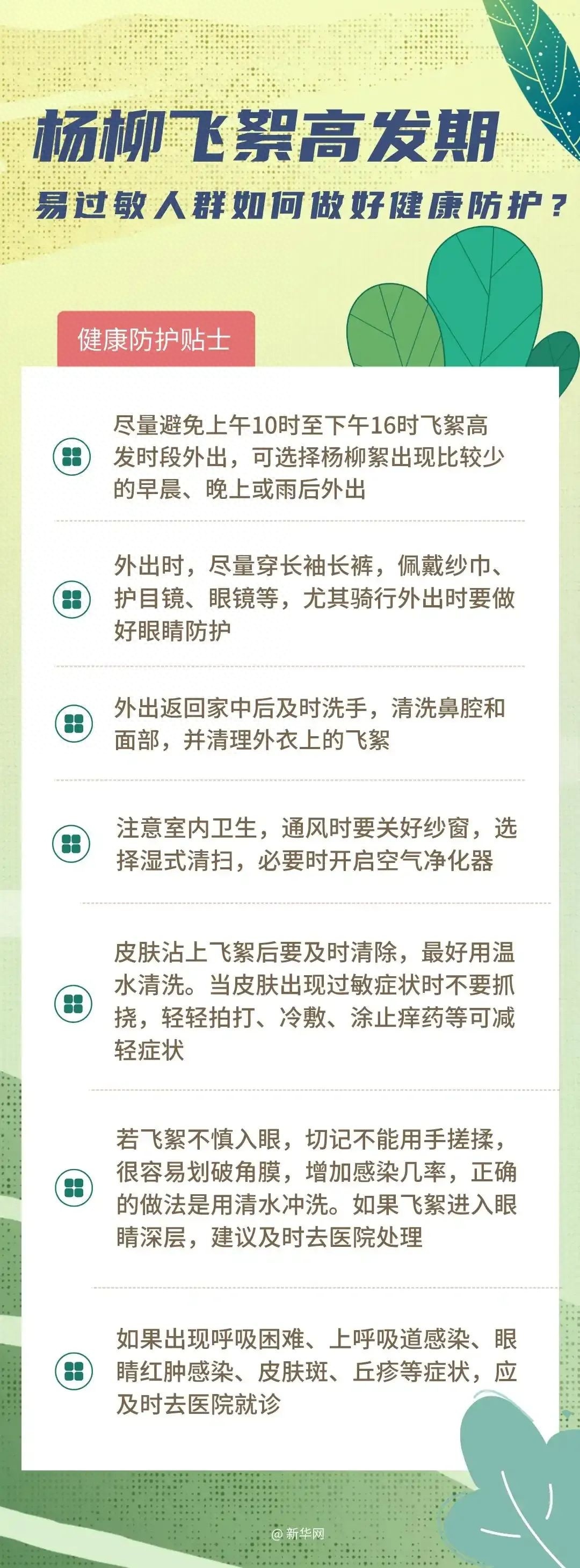 飞絮来袭！沈阳人，你的鼻炎准备好了吗？专家揭秘杨柳飞絮治理内幕