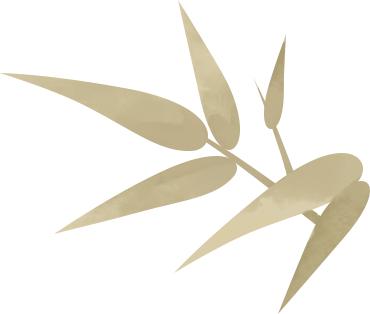 重磅！无锡动物园迎来国宝大熊猫渝宝和加悦悦，你准备好打卡了吗？