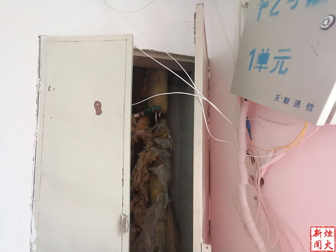 你家楼道也被‘蜘蛛网’占领了吗？居民直呼：太危险了  第5张