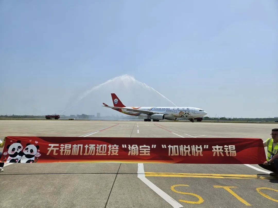 大熊猫渝宝和加悦悦空降无锡！为何机场用最高礼仪迎接它们？  第2张