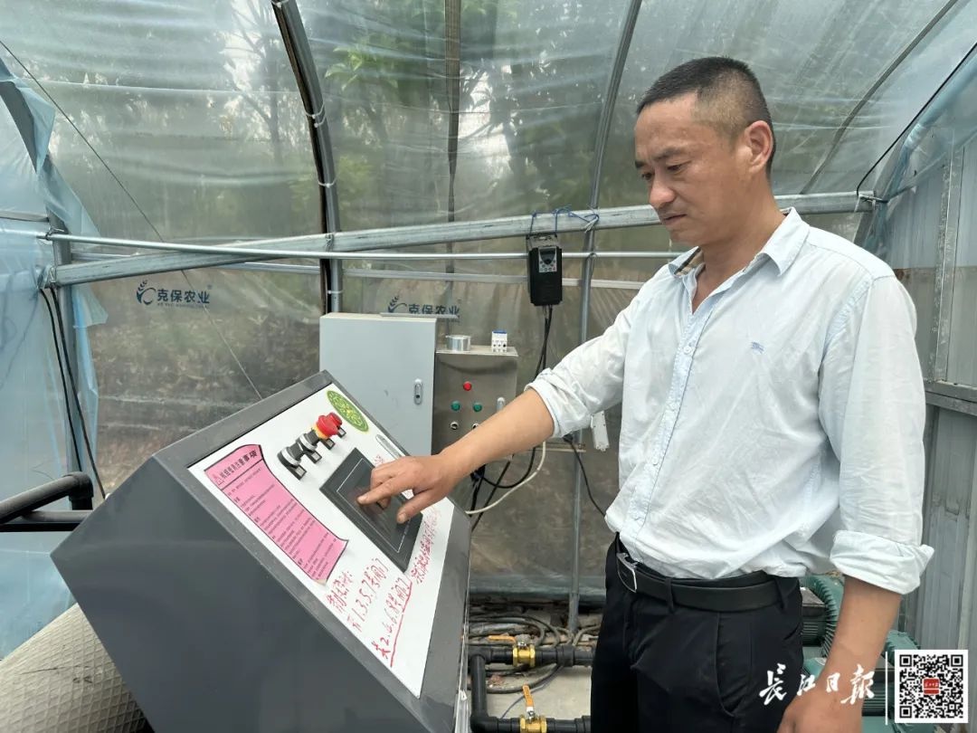 武汉养鱼老板竟靠给鱼‘泡澡’多赚44块一条！这是什么神奇操作？  第3张