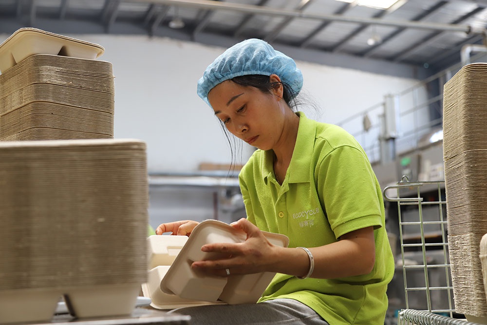 云南耿马40万吨蔗渣变废为宝！甘蔗渣如何从垃圾堆里逆袭成工业黄金？  第3张