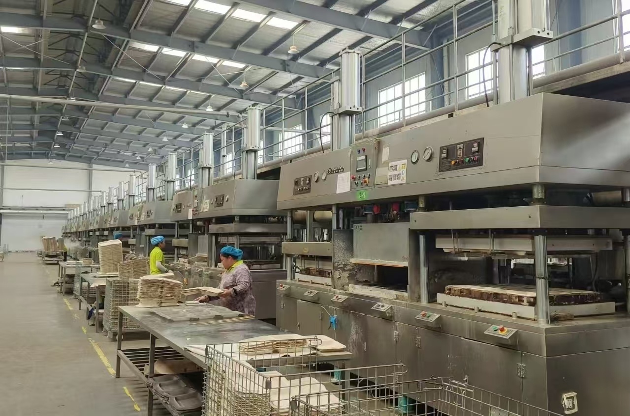 云南耿马40万吨蔗渣变废为宝！甘蔗渣如何从垃圾堆里逆袭成工业黄金？  第4张