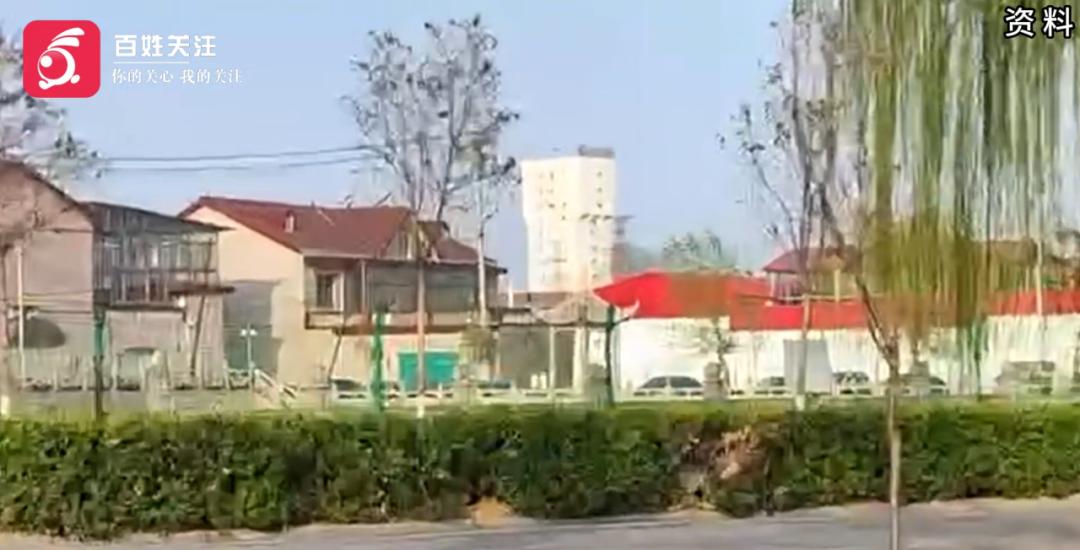 河北村民为爱犬办满月宴引热议！你见过这么豪气的宠物庆典吗？  第3张
