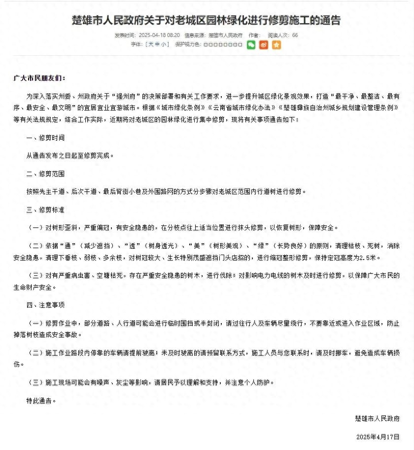 楚雄老城区大变身！绿化修剪期间交通大调整，你的出行路线规划好了吗？
