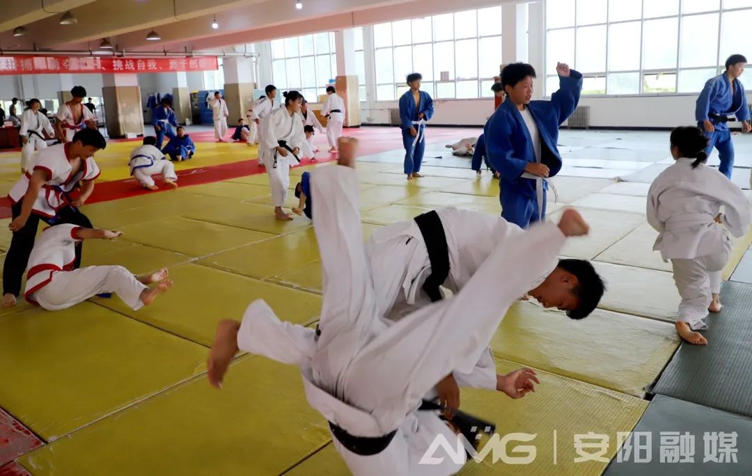 2026年省运会将在安阳举行！袁家健专题调研筹备工作，你期待吗？  第3张