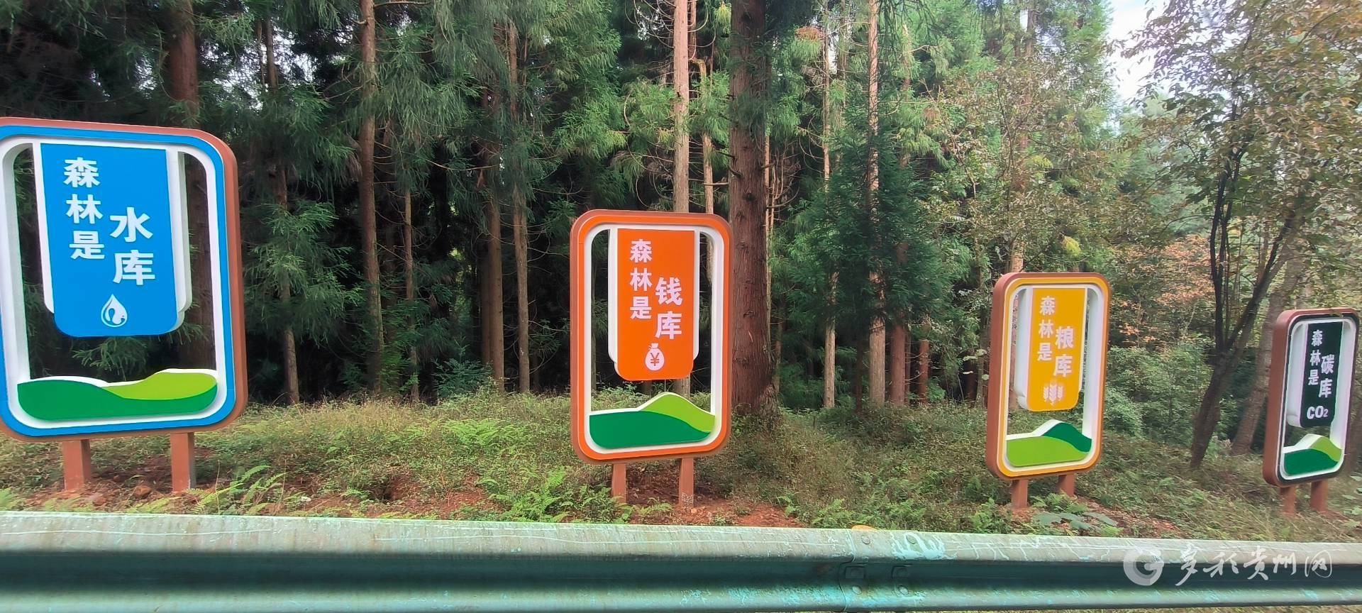 六盘水市林业局探索三个结合机制，林长制主题公园效能如何提升？  第2张