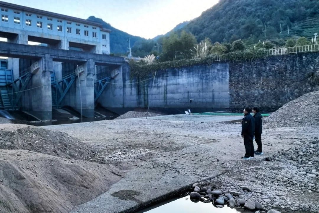 河道惊现非法采砂！遂昌县综合行政执法局如何处置？