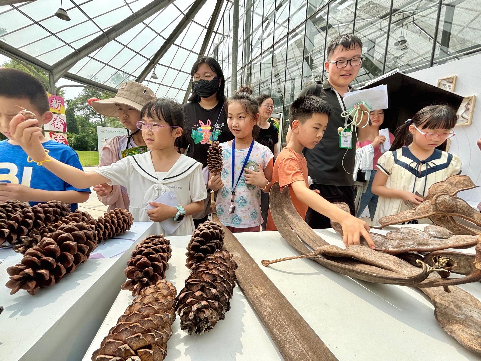 5月17日武汉植物园惊现会飞种子！珍稀种子大展等你来瞧？  第2张