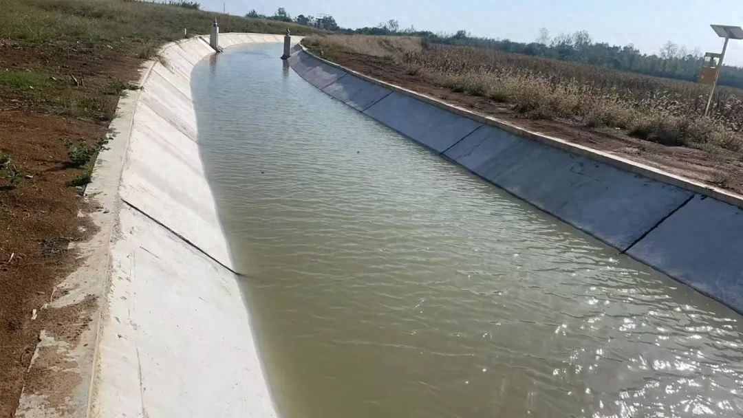 厉害了！巢湖这3项水利工程荣获2025年度庐州杯奖？快看看都有啥