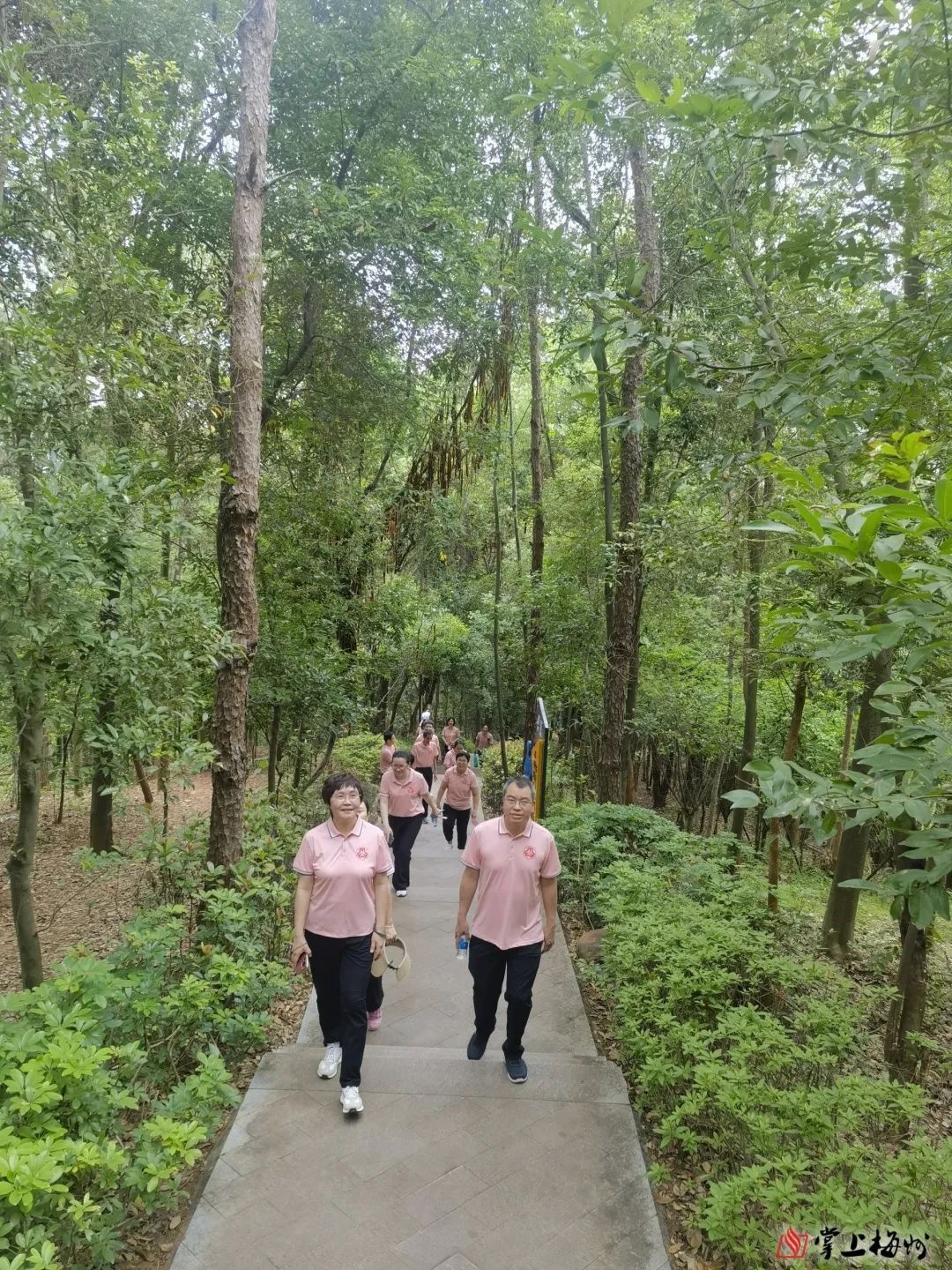 5月17日！2025年首场广东省妇女健康知识宣传活动咋开展？  第3张