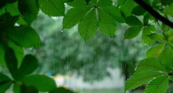 未来我省降水频繁气温低！18 日至 21 日天气咋变化？速看