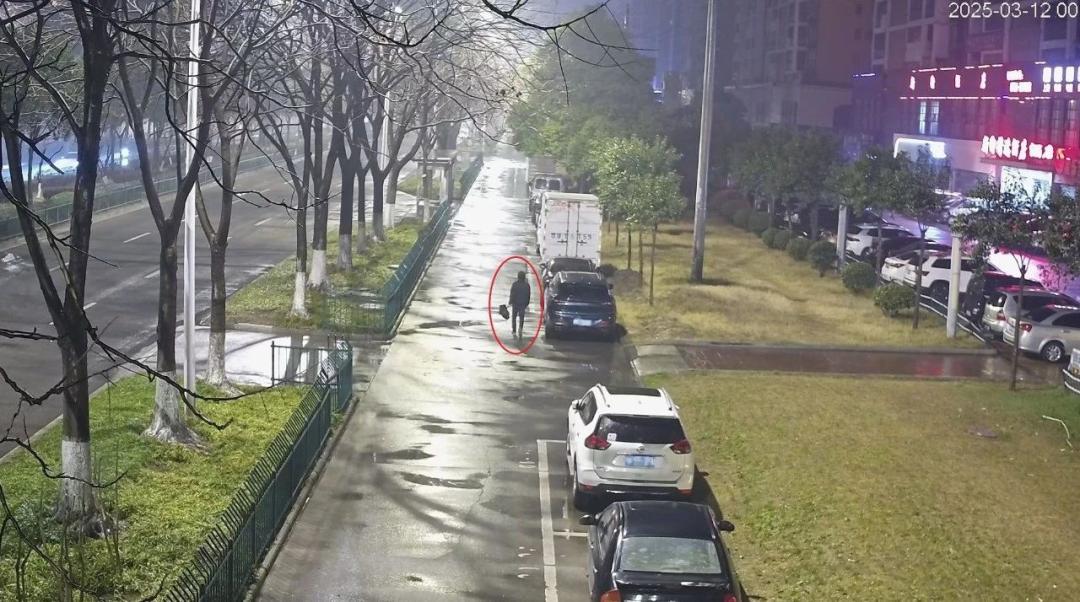 砸车窗盗窃频发！仙桃警方3起案件抓获嫌犯！作案细节曝光！？  第3张