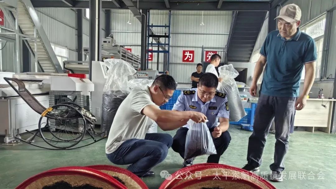 茶叶质量安全抽检大行动！17家生产经营单位被查，结果如何？  第3张