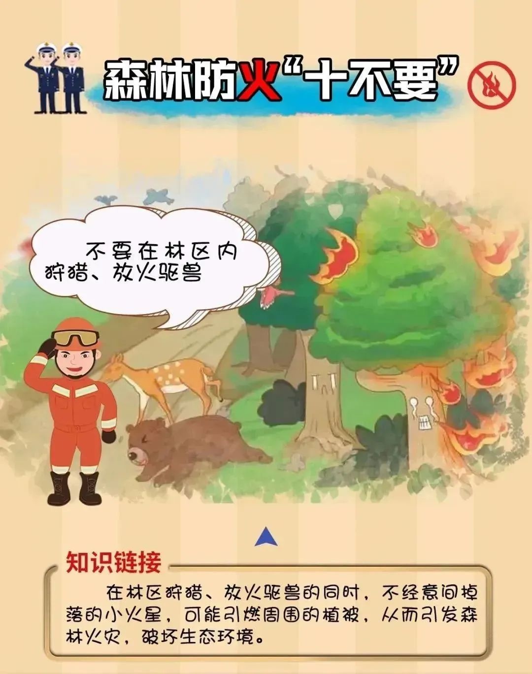 舟山森林禁火令发布！春节前后5天，这些行为将被严惩，你准备好了吗？  第9张