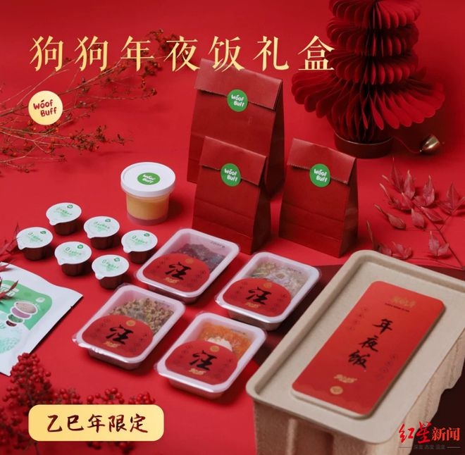 春节长假宠物无人照料？上门喂猫服务火爆，10天赚翻  第3张