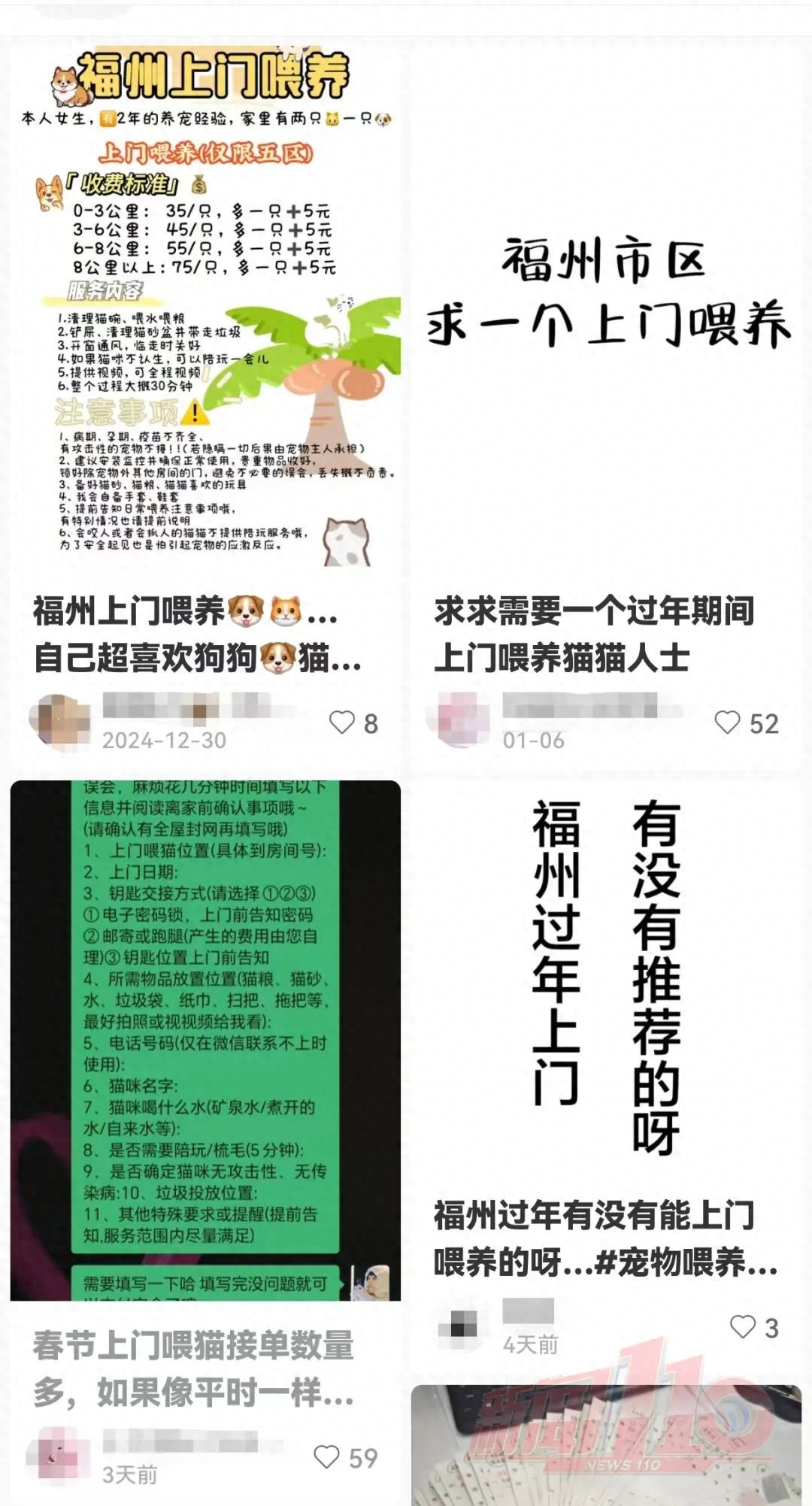 春节假期10多天收入近万元！上门喂猫遛狗成新宠，你准备好了吗？