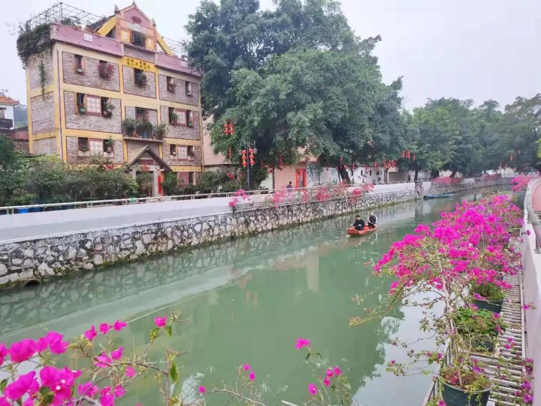 荷塘镇如何通过土地资源优化，推动百千万工程提质增效？  第3张