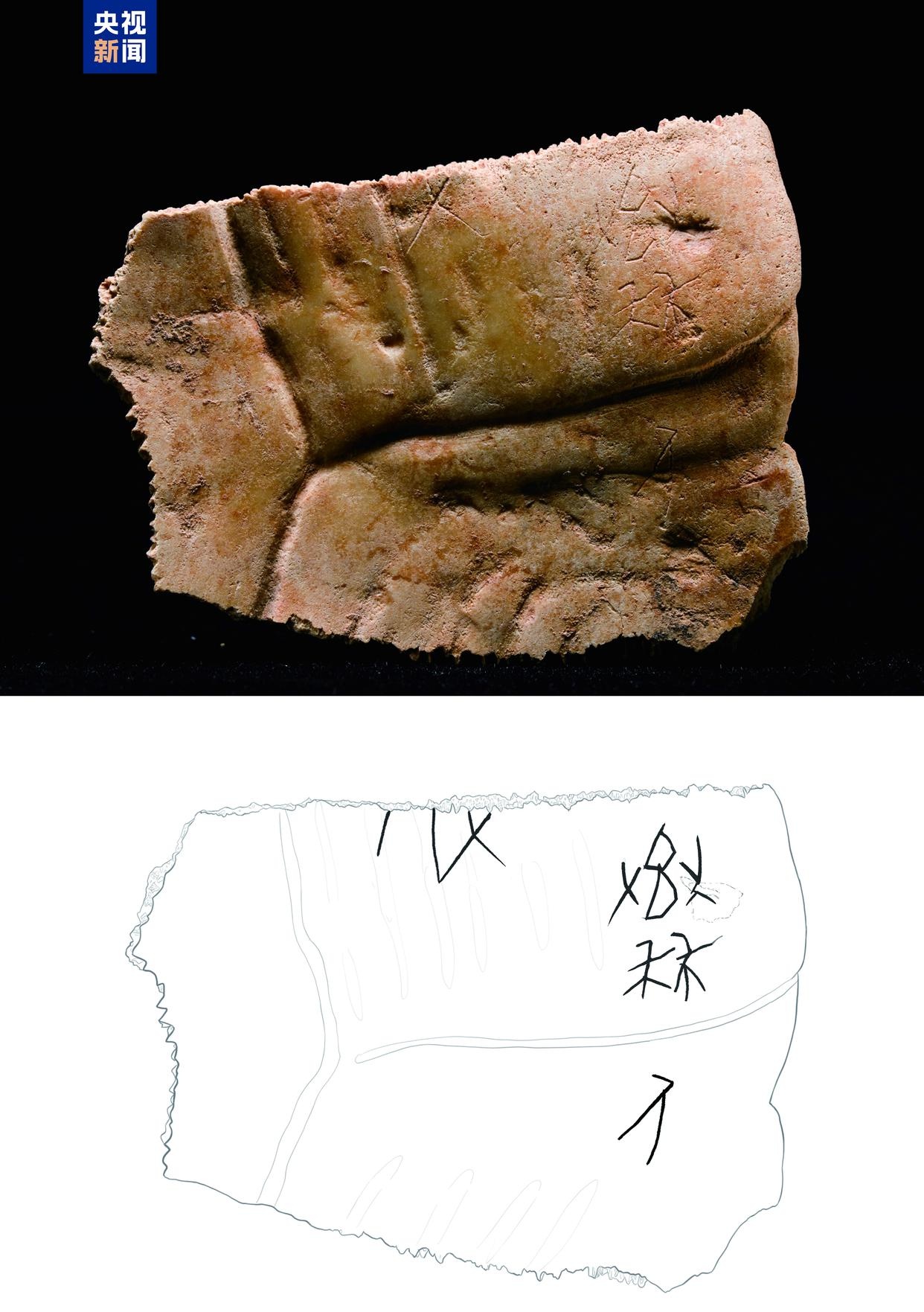 2024中国考古新发现震撼发布！1.7万年前的石雕揭示了什么秘密？  第8张