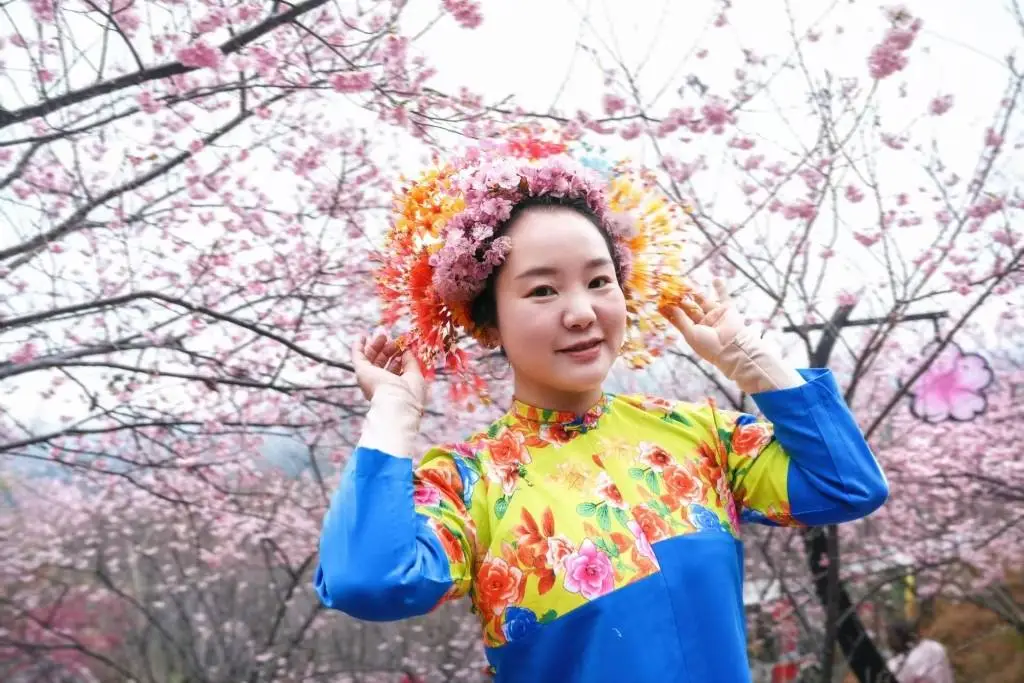 福建清流县：两千亩樱花与全球稀有锗泉的浪漫邂逅，你准备好了吗？  第2张
