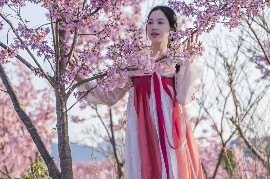 福建清流县：两千亩樱花与全球稀有锗泉的浪漫邂逅，你准备好了吗？  第4张
