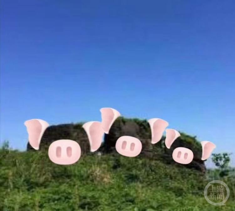 贵州遵义有个地名叫‘三个猪儿’，你知道它的来历吗？  第2张