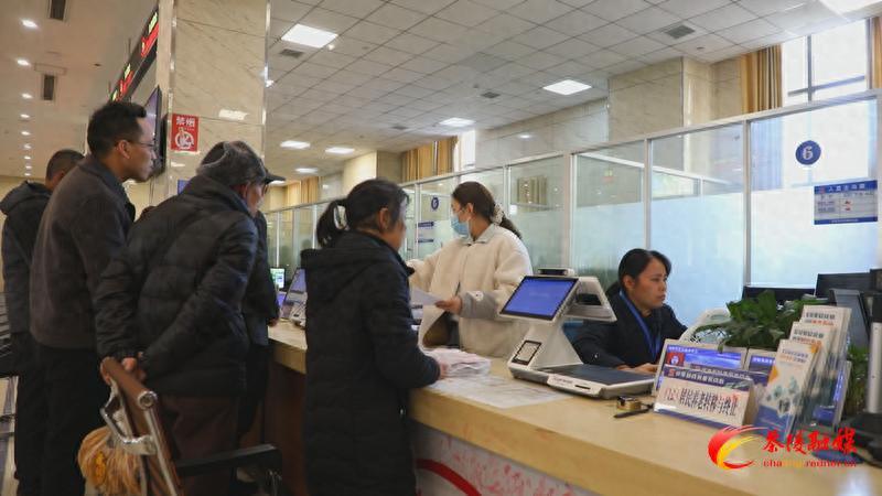 茶陵县如何通过数字赋能与引资强链双轮驱动，优化营商环境？