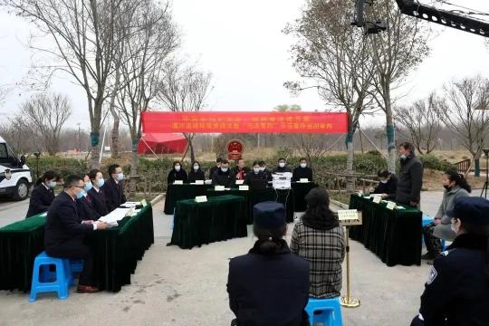6年补种4000棵树！这场生态救赎能否重燃绿色生机？  第2张