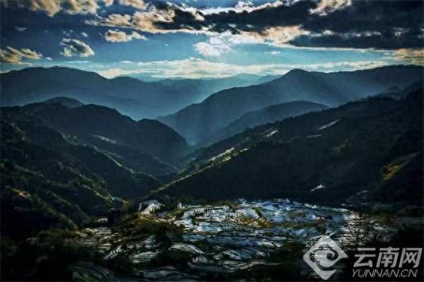探秘红河哈尼梯田：世界文化遗产的春之画卷，你准备好迎接这场视觉盛宴了吗？