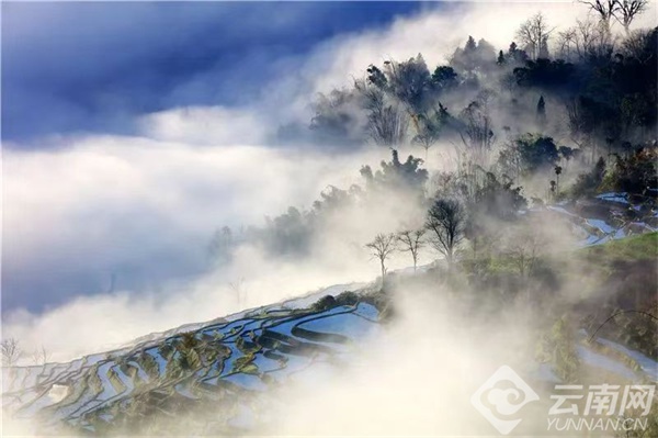 探秘红河哈尼梯田：世界文化遗产的春之画卷，你准备好迎接这场视觉盛宴了吗？  第2张