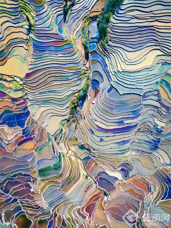 探秘红河哈尼梯田：世界文化遗产的春之画卷，你准备好迎接这场视觉盛宴了吗？  第3张