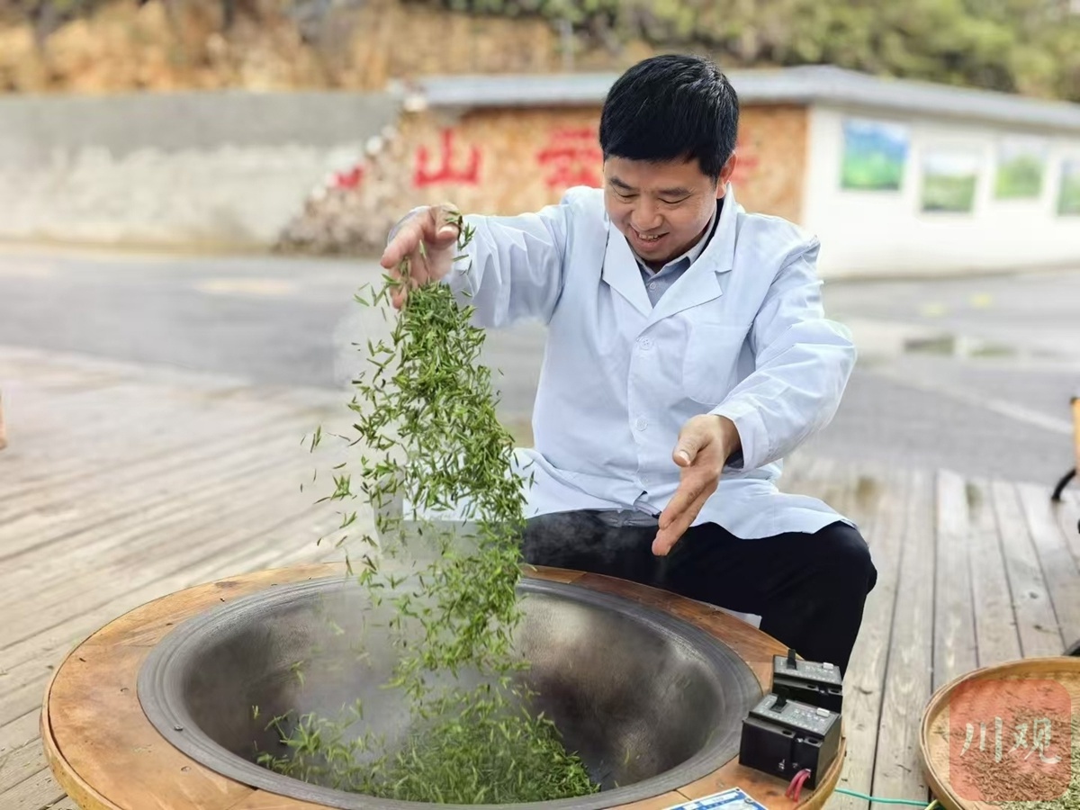 四川茶产业大爆发！万吨新式茶饮原料生产能力如何改变你的茶饮体验？  第2张