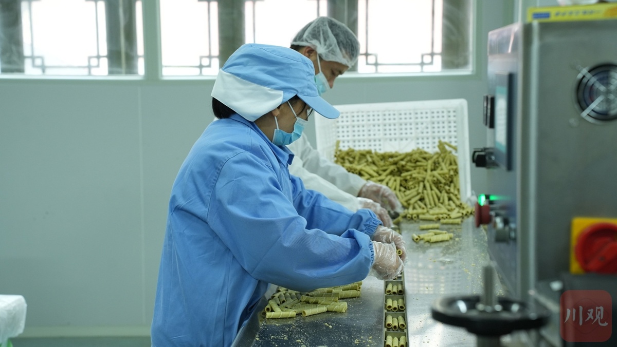 四川茶产业大爆发！万吨新式茶饮原料生产能力如何改变你的茶饮体验？  第5张