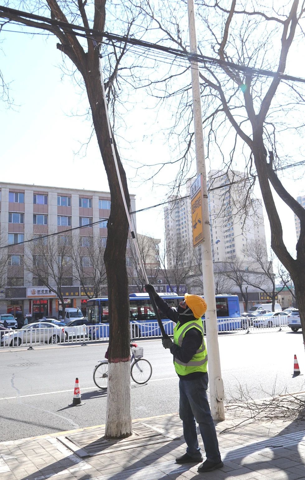 春分将至，回民区园林建设服务中心如何让城市绿意更浓？  第2张