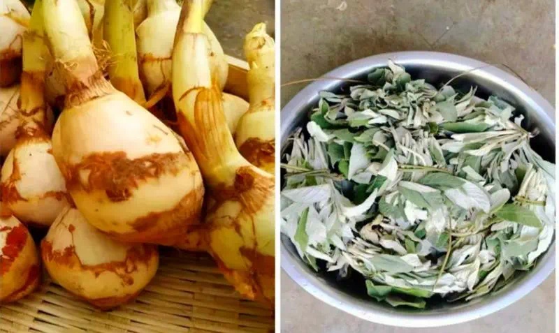 春意盎然时，为何丘北县的壮家儿女都在争相制作祭竜粑粑？  第2张