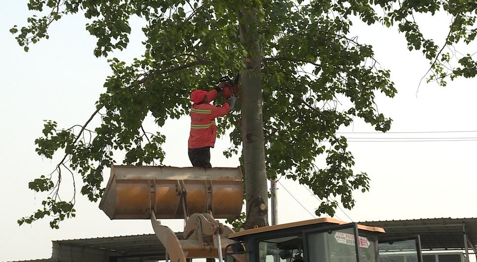 顺平公路颜值飙升95%！养护工人如何用‘绣花功夫’打造最美公路？  第5张