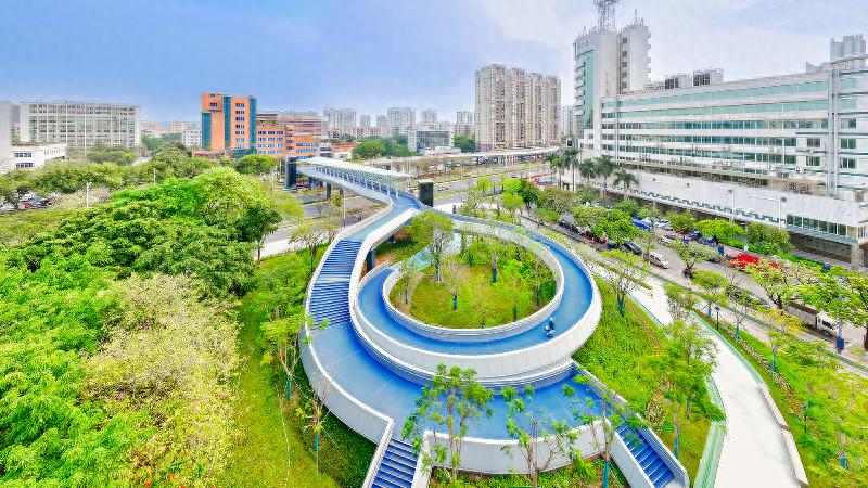 这座天桥凭什么成为南海区最火打卡地？科技与时尚的完美融合惊艳全城  第1张