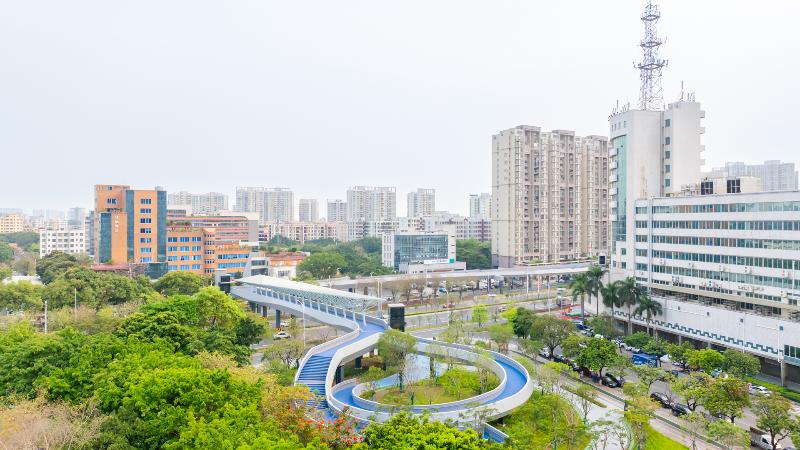 这座天桥凭什么成为南海区最火打卡地？科技与时尚的完美融合惊艳全城  第2张