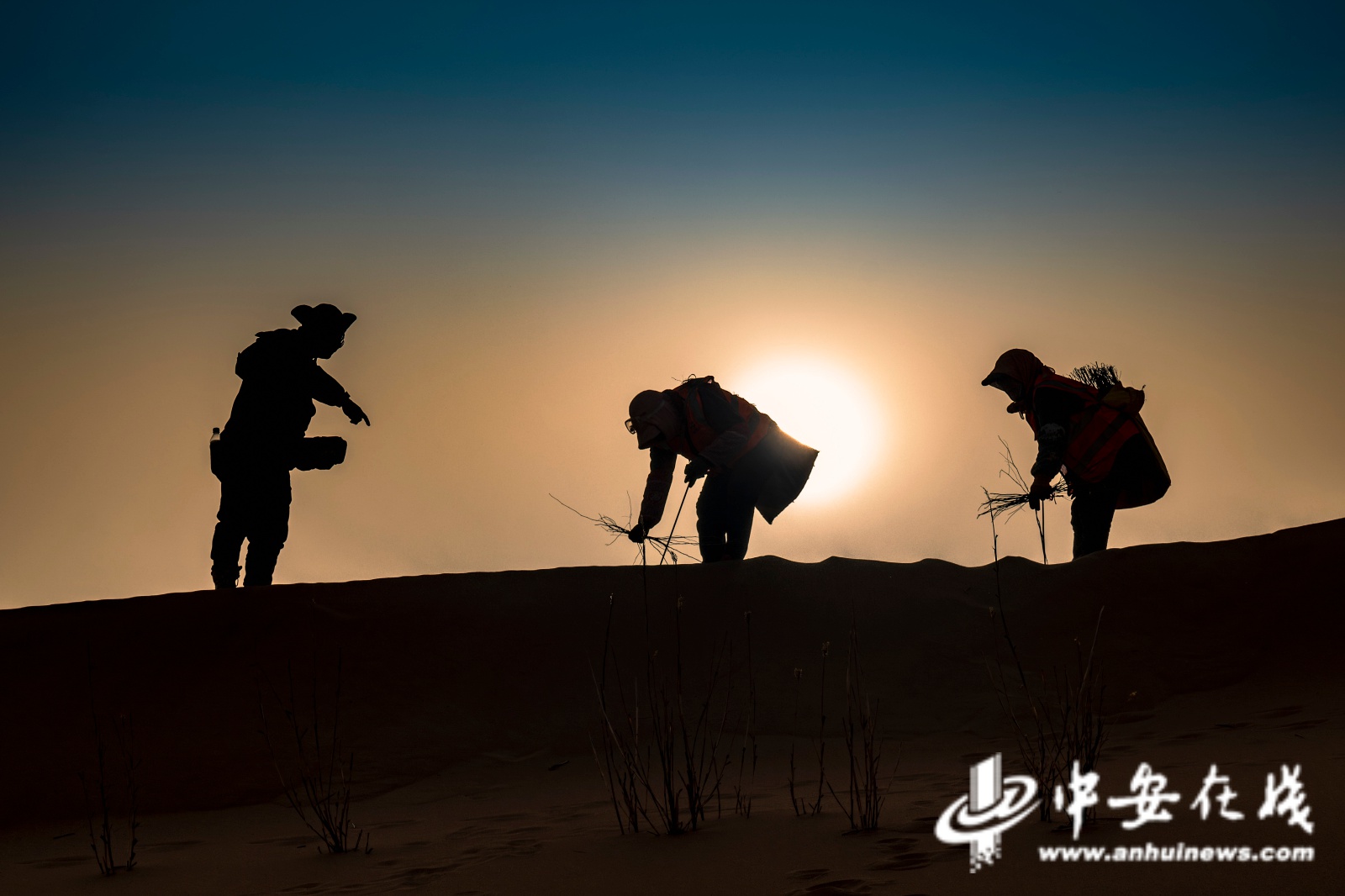 23万平方公里荒漠变绿洲！中铁四局如何打造国家生态防护奇迹？  第5张