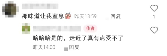 重庆街头惊现臭名昭著石楠花！这味道究竟有多上头？  第4张