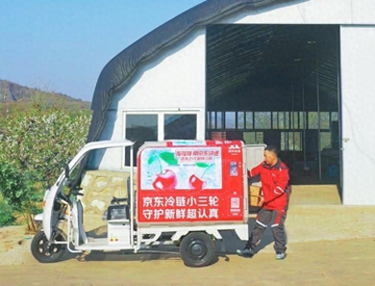 京东冷链三轮车直通果园大棚，山东樱桃从此不再怕闷坏