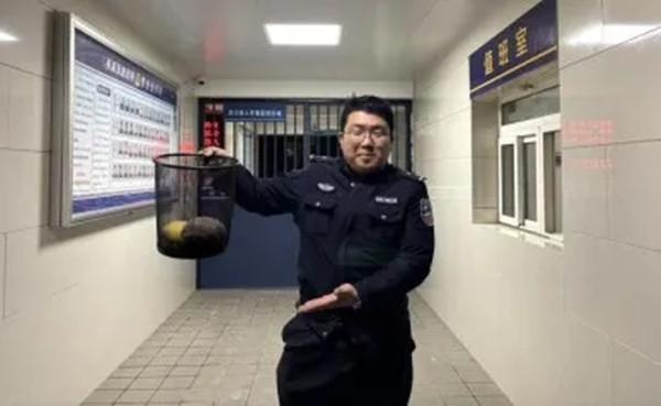 西安民警暖心救助3只国家保护动物！你见过这样的和谐画面吗？  第2张