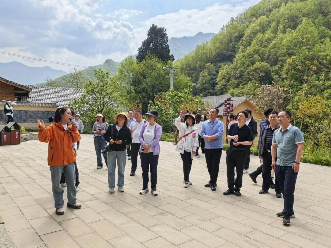 武都区文旅康养产业如何高质量发展？50余件作品全方位揭秘  第5张
